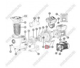 Прокладка Hayward TriStar (SPX3200T) Прокладка Hayward TriStar (SPX3200T)